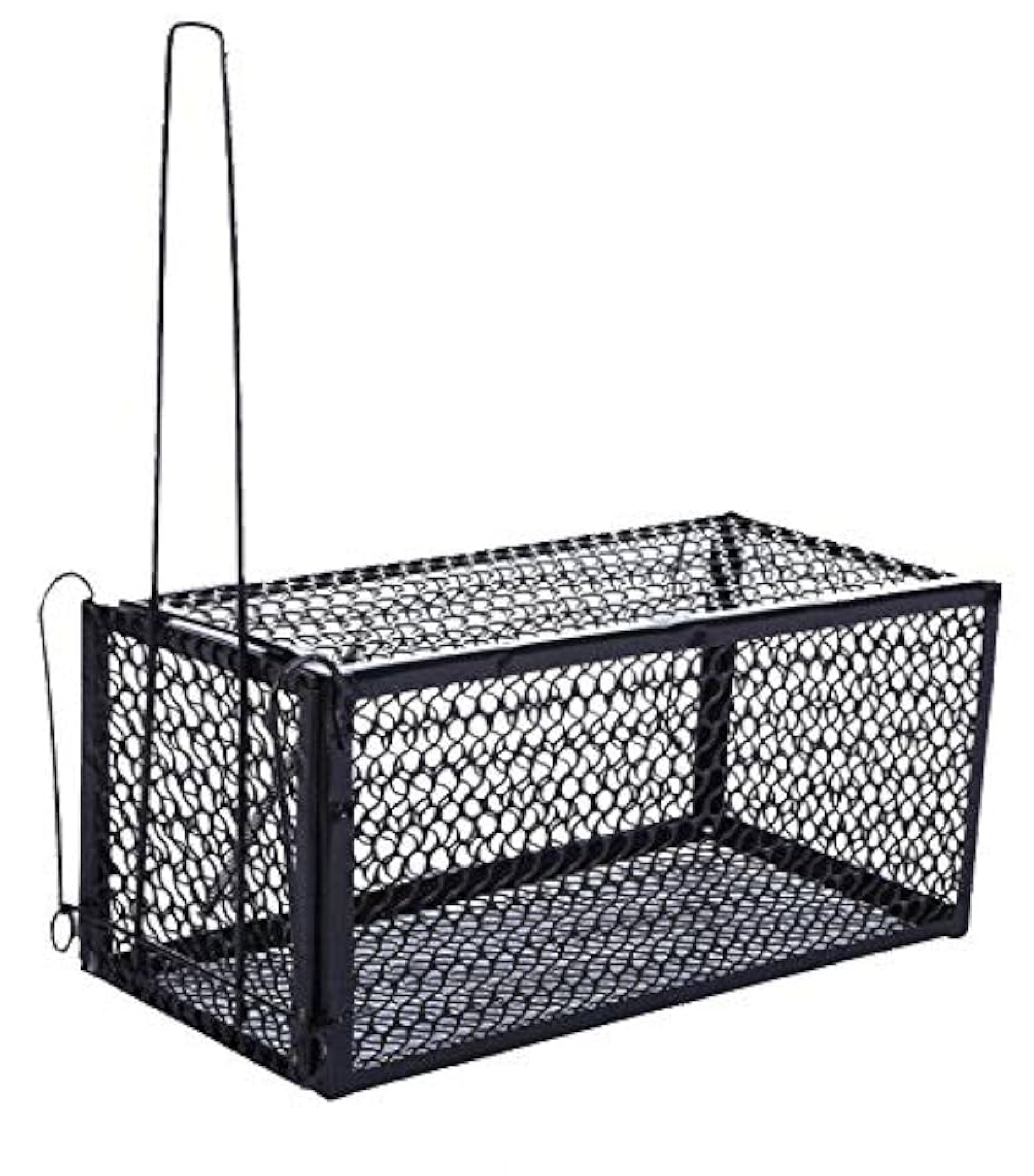 RATS MOUSE TRAP IRON Black Cage